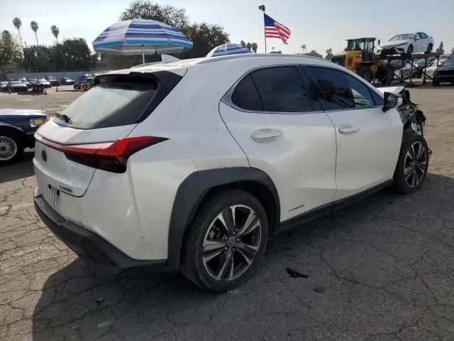 2019 Lexus UX 250H