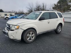 Ford Escape Vehiculos salvage en venta: 2011 Ford Escape Limited