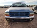 2003 Dodge Dakota Quad Sport