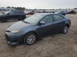 Salvage cars for sale at Harleyville, SC auction: 2019 Toyota Corolla L