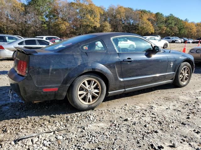 2005 Ford Mustang