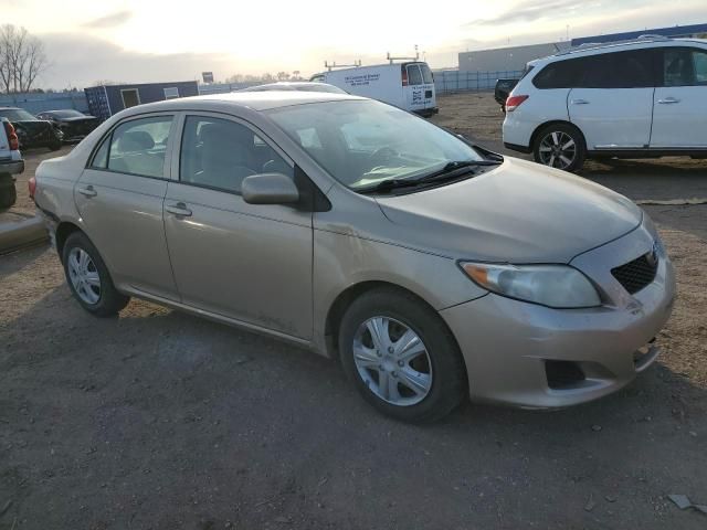 2010 Toyota Corolla Base