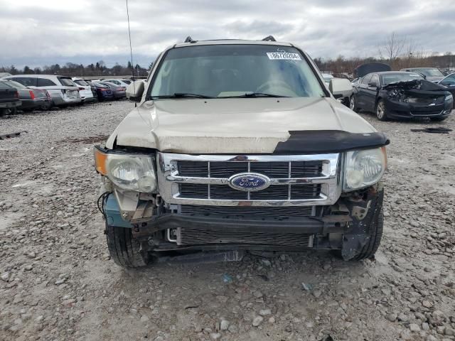 2010 Ford Escape Limited