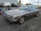 1986 Jaguar XJ6 Vanden Plas