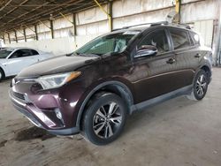 Salvage cars for sale from Copart Phoenix, AZ: 2017 Toyota Rav4 XLE