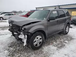 2009 Ford Escape XLT en venta en Wayland, MI