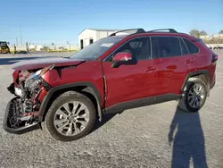 Toyota rav4 xle Premium salvage cars for sale: 2024 Toyota Rav4 XLE Premium