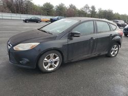 Ford Focus salvage cars for sale: 2014 Ford Focus SE