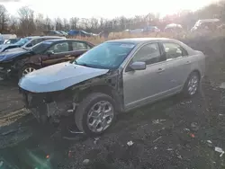 Salvage cars for sale at Baltimore, MD auction: 2010 Ford Fusion SE