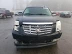 2010 Cadillac Escalade Premium