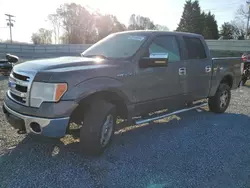 2013 Ford F150 Supercrew en venta en Gastonia, NC