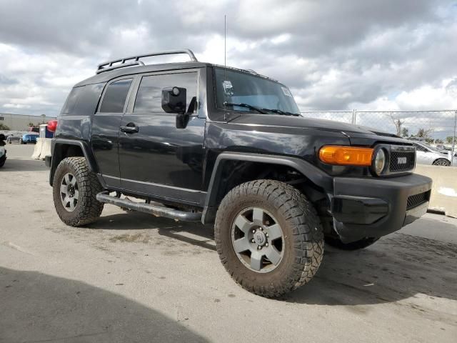 2010 Toyota FJ Cruiser