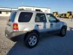 2005 Ford Escape XLT