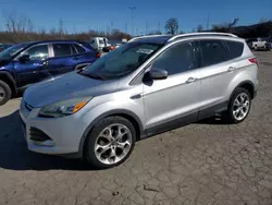 Salvage cars for sale at Bridgeton, MO auction: 2015 Ford Escape Titanium