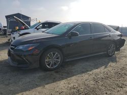 Salvage cars for sale at Antelope, CA auction: 2016 Toyota Camry LE