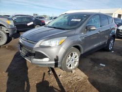 Salvage cars for sale from Copart Brighton, CO: 2013 Ford Escape SEL