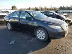 2007 Toyota Camry Hybrid