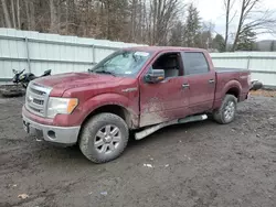 Salvage trucks for sale at Center Rutland, VT auction: 2013 Ford F150 Supercrew