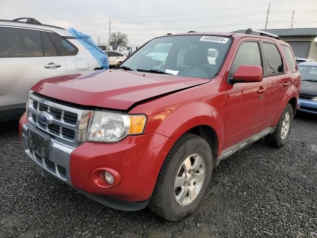 2009 Ford Escape Limited