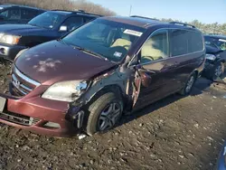 Salvage cars for sale at Windsor, NJ auction: 2007 Honda Odyssey EXL