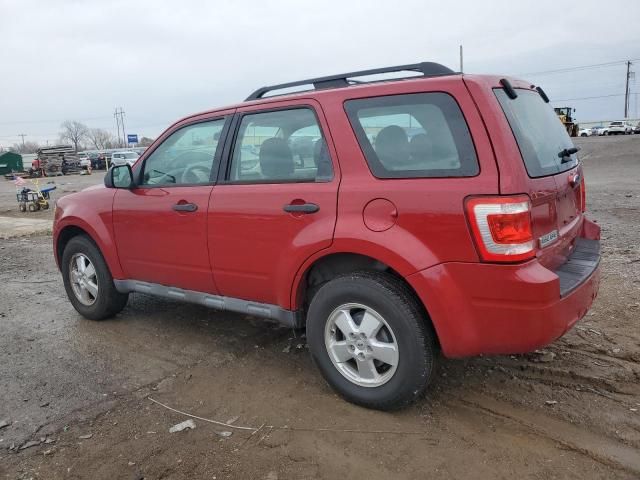 2011 Ford Escape XLS