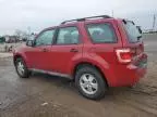 2011 Ford Escape XLS