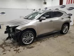 Lexus nx 350h Vehiculos salvage en venta: 2022 Lexus NX 350H