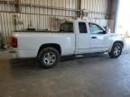 2005 Dodge Dakota SLT