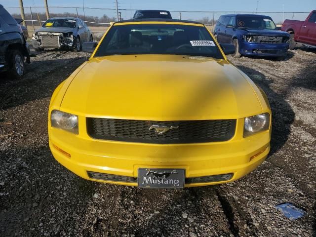 2005 Ford Mustang