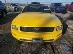 2005 Ford Mustang