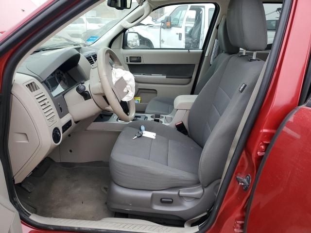 2010 Ford Escape XLT