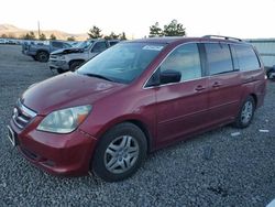 Salvage cars for sale at Reno, NV auction: 2005 Honda Odyssey EX