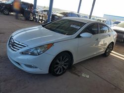 Salvage cars for sale at Phoenix, AZ auction: 2012 Hyundai Sonata SE