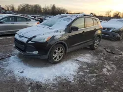 Salvage cars for sale from Copart Chalfont, PA: 2013 Ford Escape SE