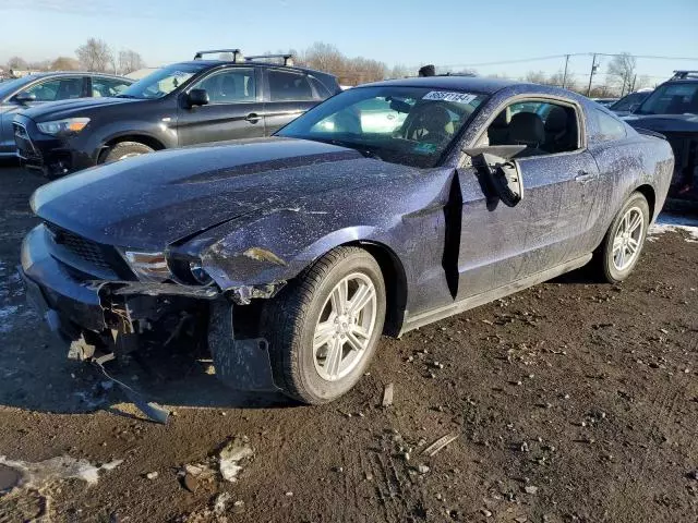 2012 Ford Mustang