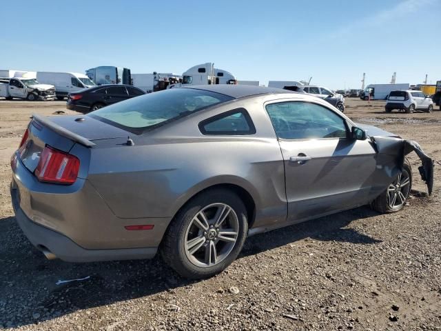 2010 Ford Mustang