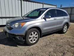 Salvage SUVs for sale at auction: 2007 Honda CR-V EXL