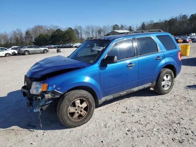 2011 Ford Escape XLT