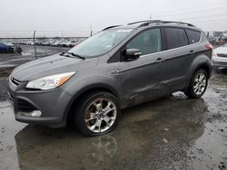 Salvage cars for sale from Copart Eugene, OR: 2013 Ford Escape SEL