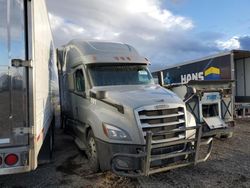 Salvage trucks for sale at Helena, MT auction: 2020 Freightliner Cascadia 126