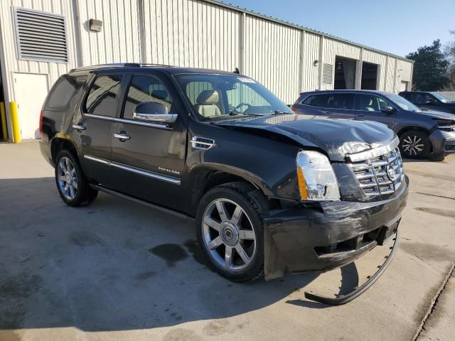 2010 Cadillac Escalade Premium