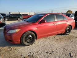 Salvage cars for sale at Haslet, TX auction: 2008 Toyota Camry CE