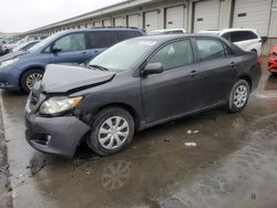 2010 Toyota Corolla Base en venta en Louisville, KY