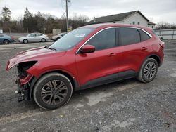 Ford Escape Vehiculos salvage en venta: 2022 Ford Escape SEL