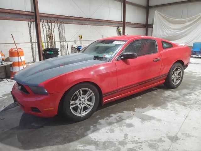 2010 Ford Mustang