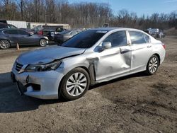 Salvage cars for sale at Baltimore, MD auction: 2013 Honda Accord EX