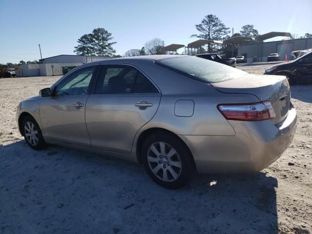 2009 Toyota Camry Hybrid