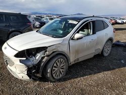 Salvage cars for sale at Helena, MT auction: 2020 Ford Escape Titanium