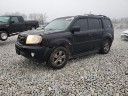 Honda Pilot salvage cars for sale: 2011 Honda Pilot Exln