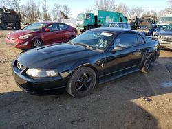 Ford Vehiculos salvage en venta: 2003 Ford Mustang